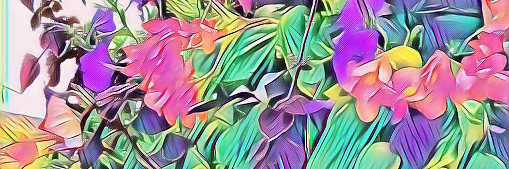 Lady_TrashPanda's profile banner image
