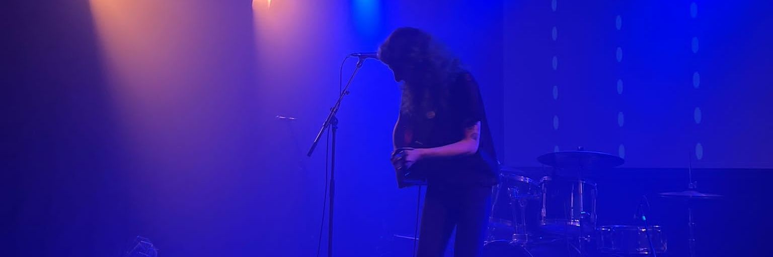 Lana Wild 🕊 banner