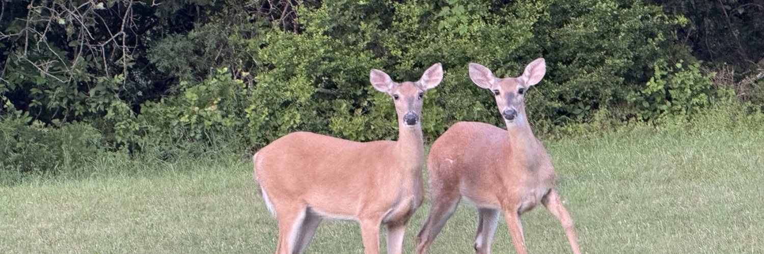 Donita O'Hair banner