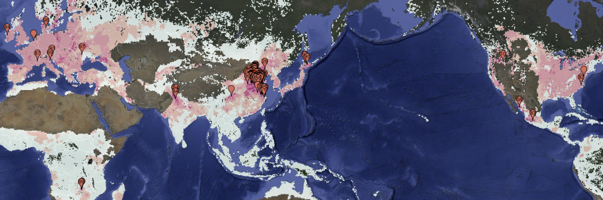 GLOBE Project banner