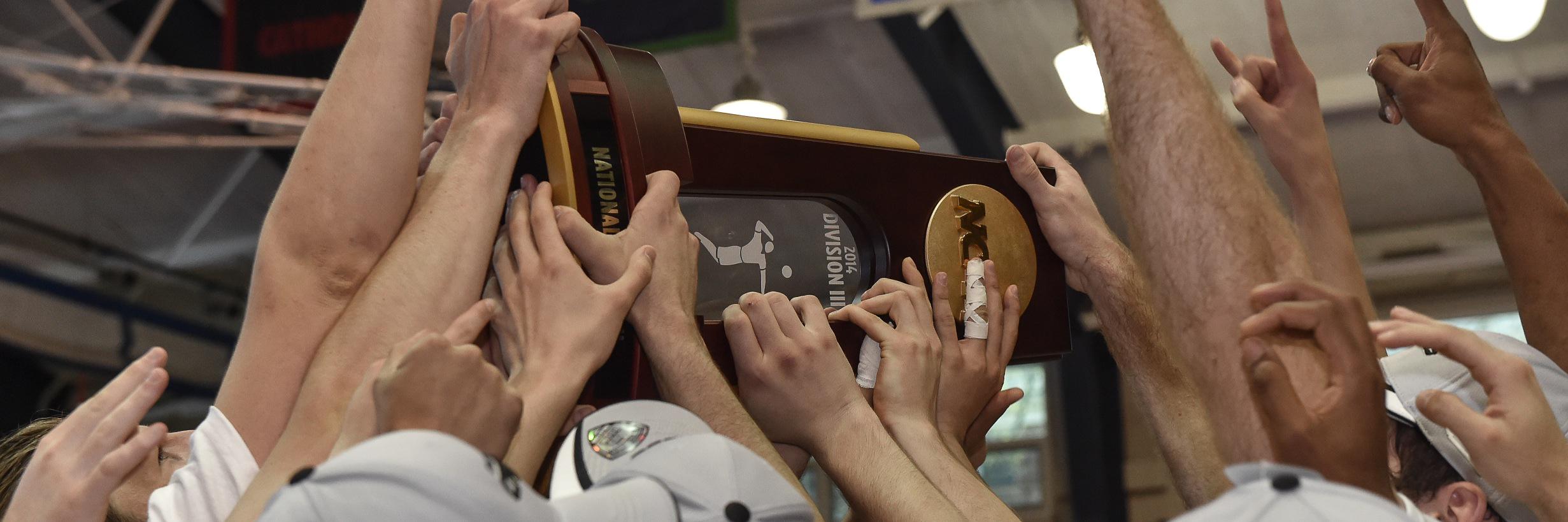 Springfield College Men’s Volleyball banner