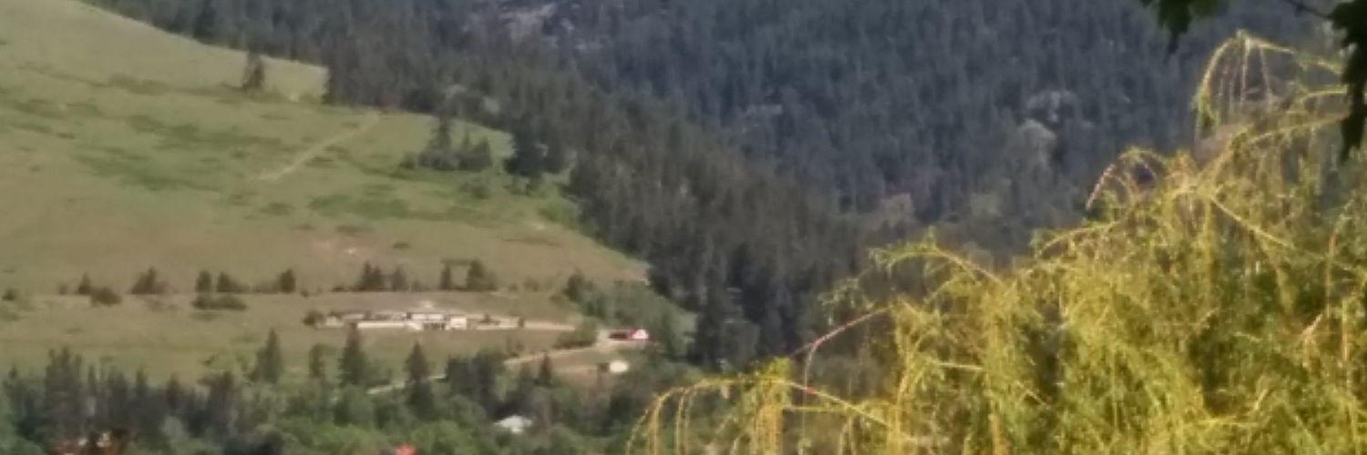 sara de Jong banner
