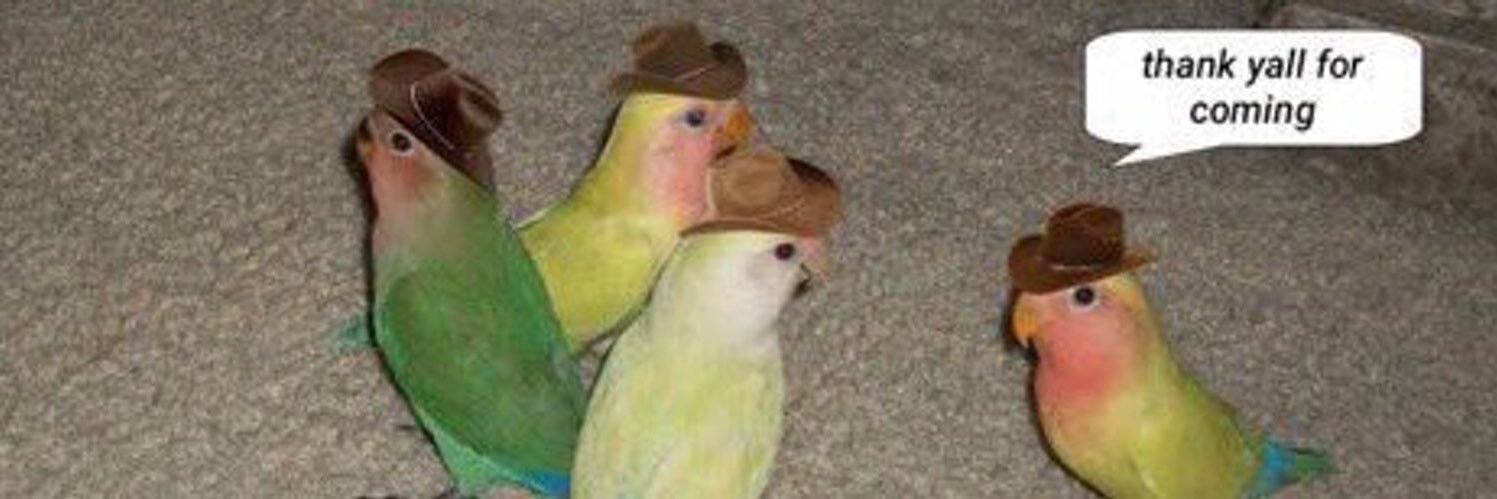 rabbitgorl's profile banner image
