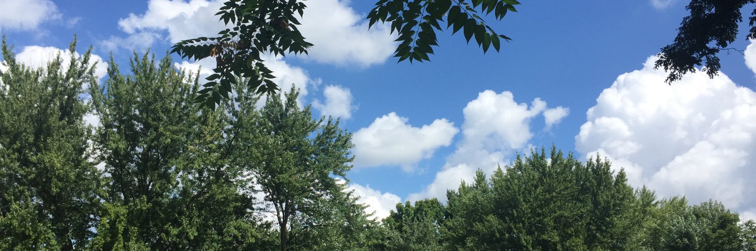 🌲Natty P 🇸🇴 🚫🙊🐴 banner