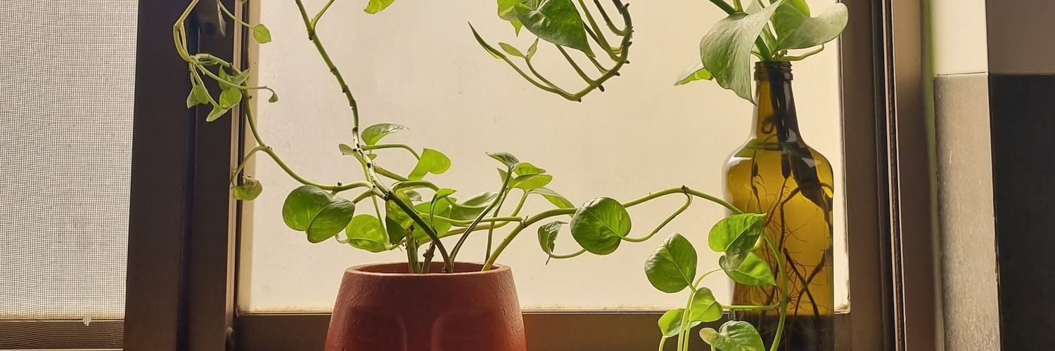 notmarriaaa's profile banner image
