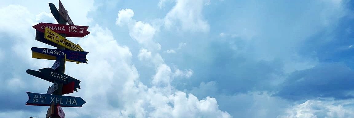 Therigoca's profile banner image