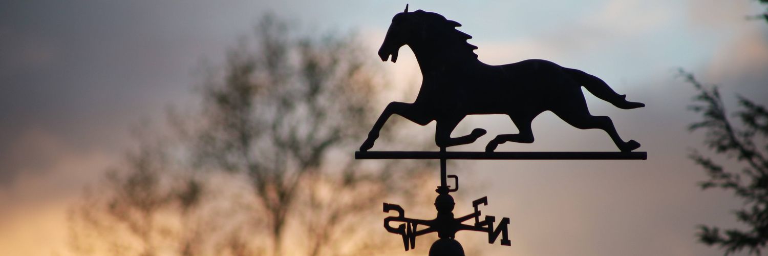 Pamela Reynolds banner