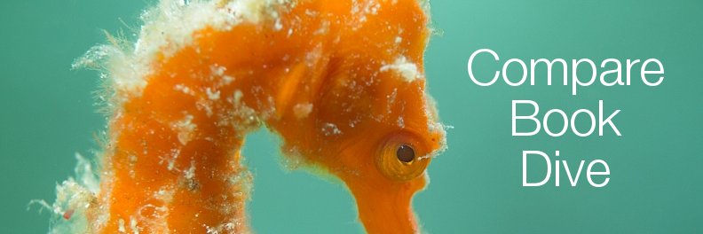 spotmydive's profile banner image