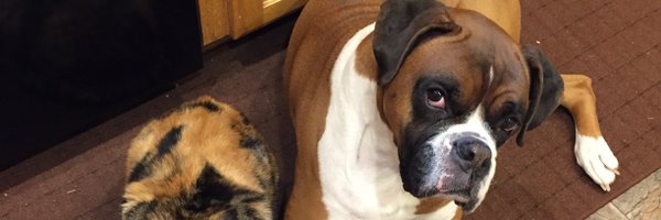 Roscoe1679 Profile Banner