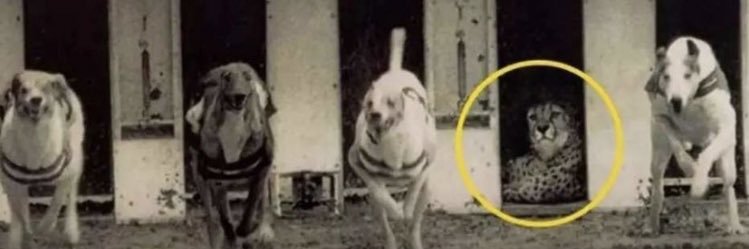 JT (Very BodMon) banner