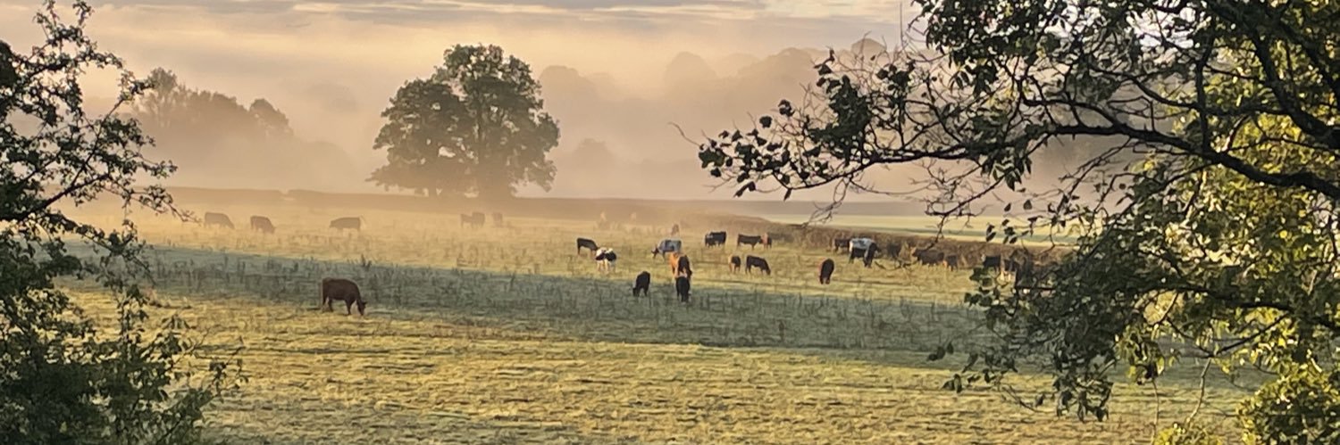 GaynorBussell's profile banner image