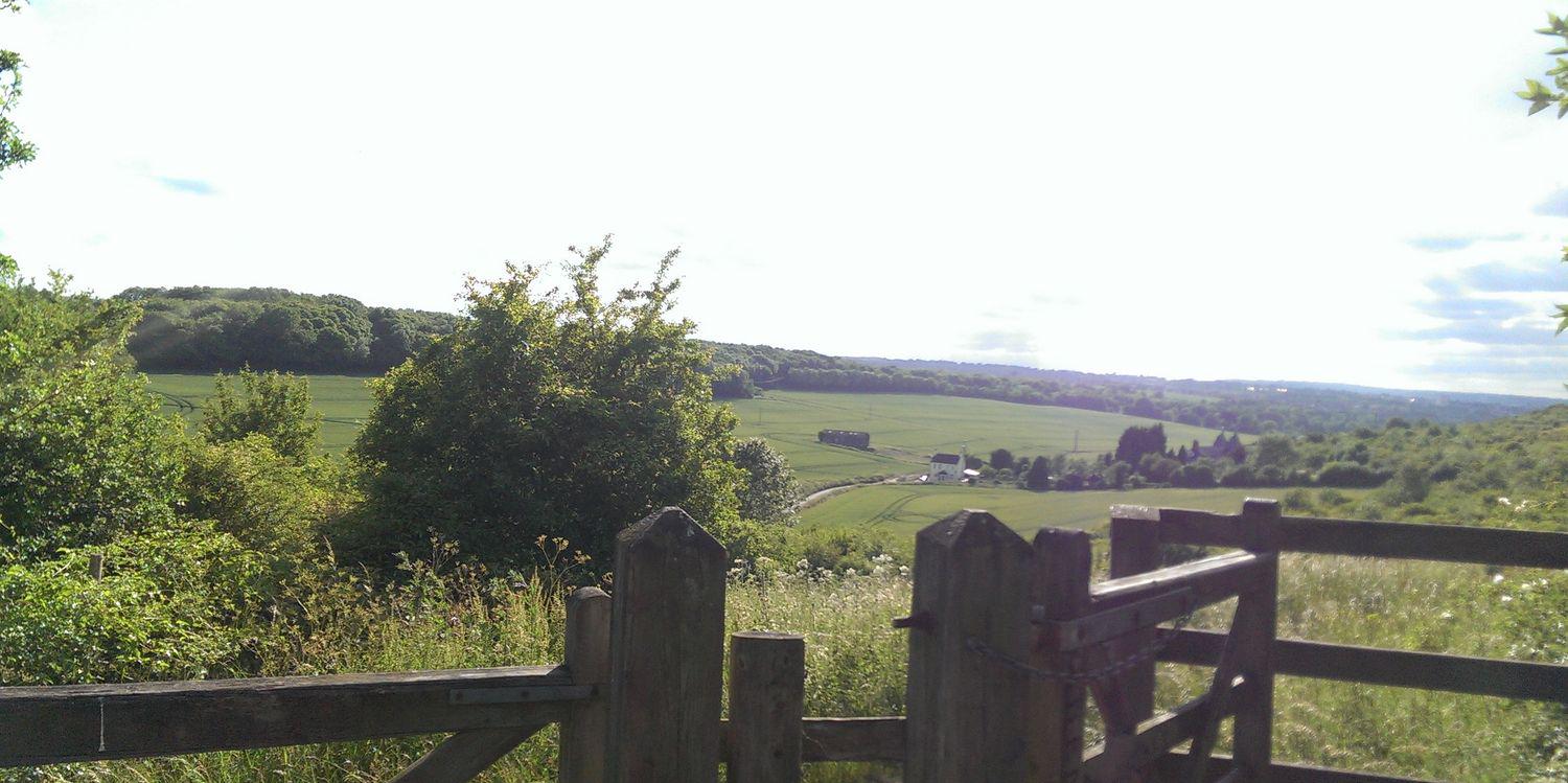 arshia_uk's profile banner image