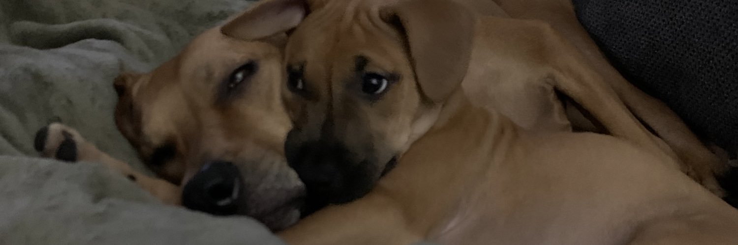 John Thundergun banner