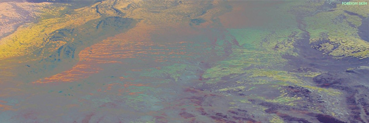 ForeignSkin's profile banner image