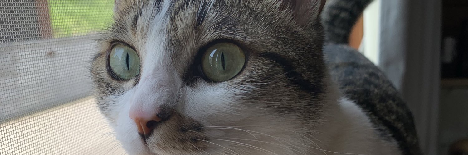 mysrrry's profile banner image