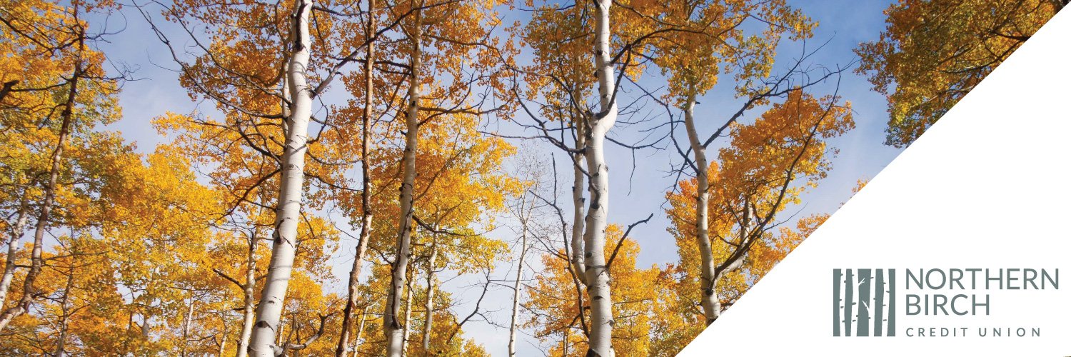 NorthernBirchCU's profile banner image