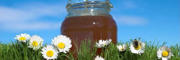 AnthonysBeehive Profile Banner