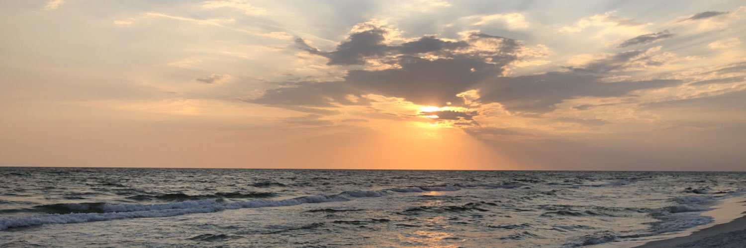 lfrederking's profile banner image