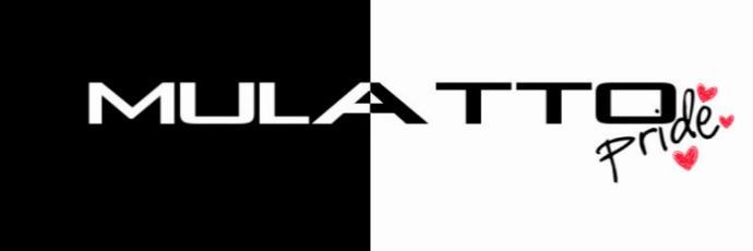 Proud_Mulatto's profile banner image