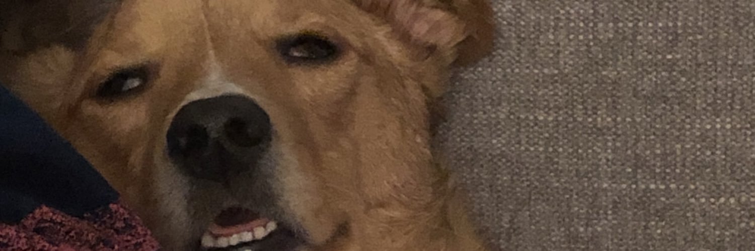 maaaargs's profile banner image