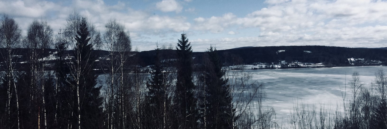 LindbergMagda's profile banner image