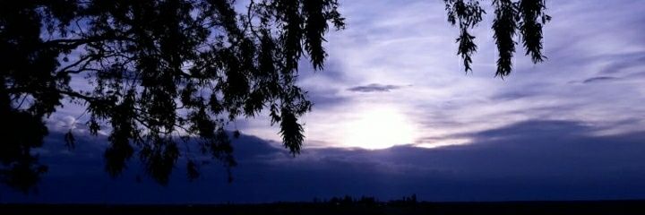 perrezmar's profile banner image