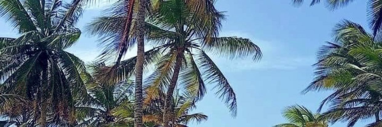 Maxtro 😎🌴 banner