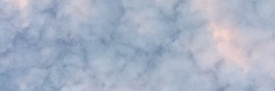 JaniePriny's profile banner image