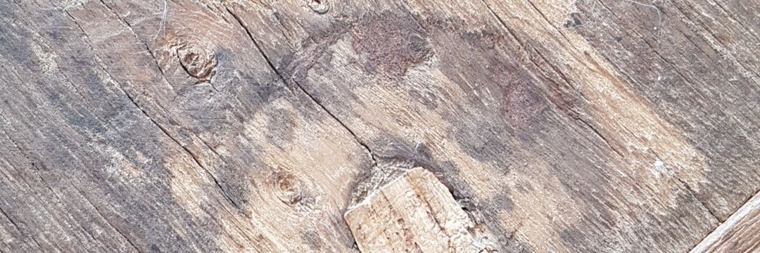 w6w على الإنستغرام banner