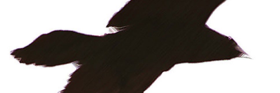 Val_VRDE's profile banner image