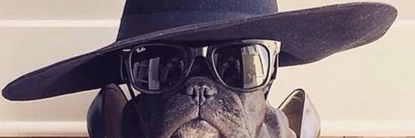 marcha_thomas's profile banner image