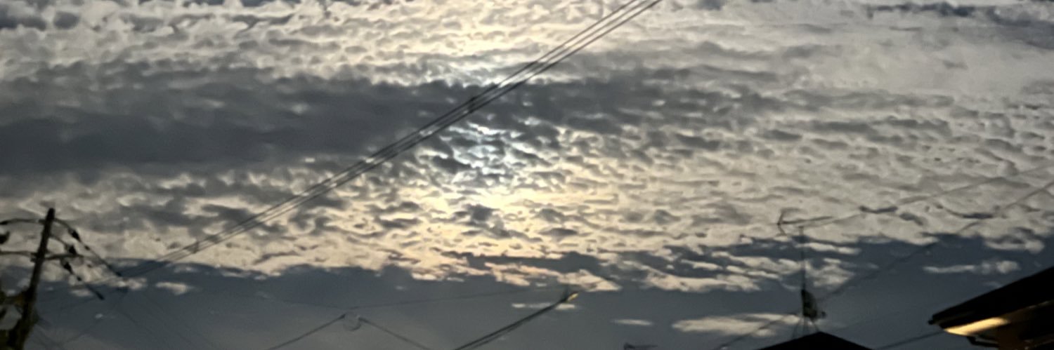 tama_zo_'s profile banner image