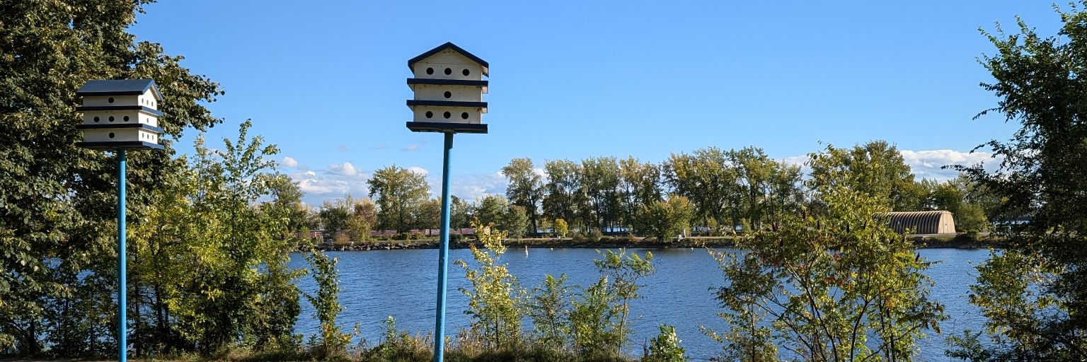 elyshaenos's profile banner image