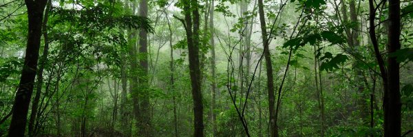 PabloTorresG_ Profile Banner