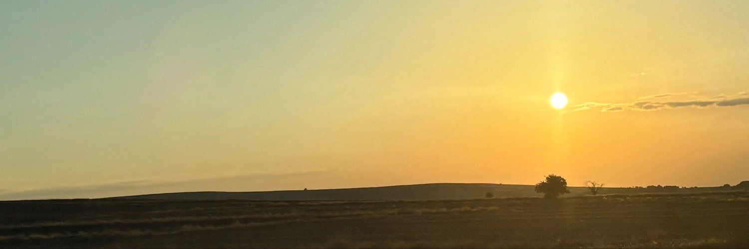zenataris's profile banner image
