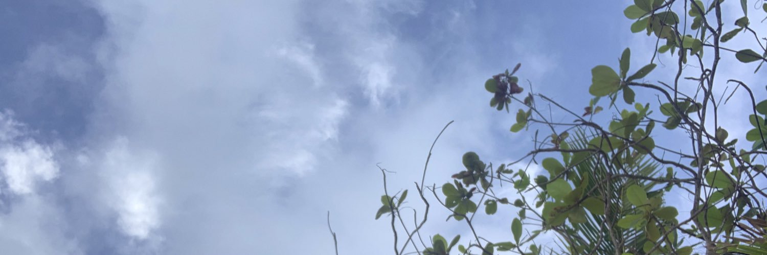 _gelax's profile banner image
