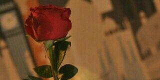 Meshal994H's profile banner image