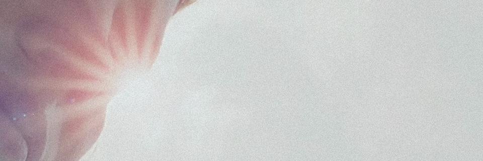 _groundcoffee's profile banner image