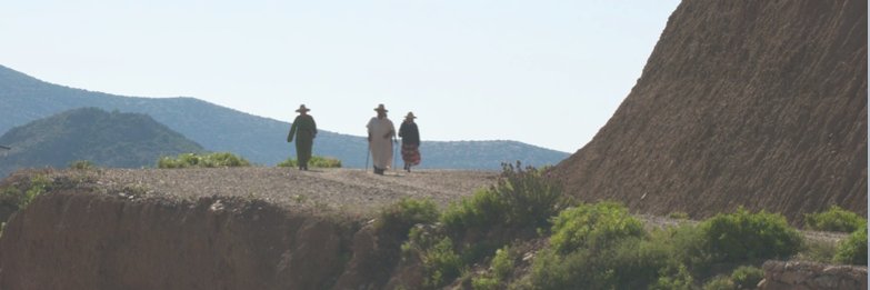 mobpoli's profile banner image