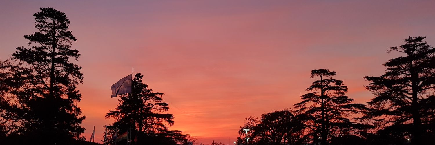 PauSemino's profile banner image