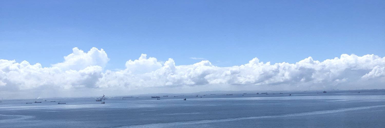 nonswan's profile banner image
