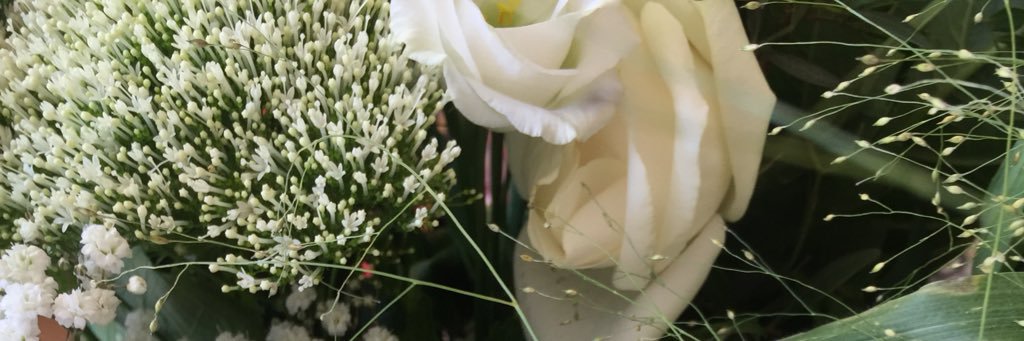 Judith v/d Wenden banner