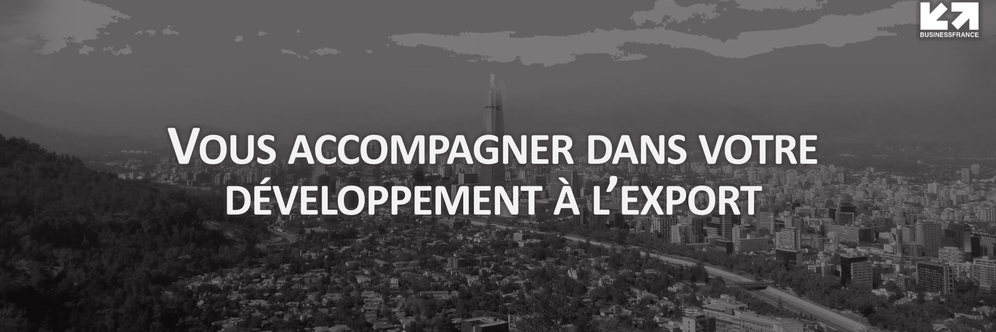 Business France CL banner