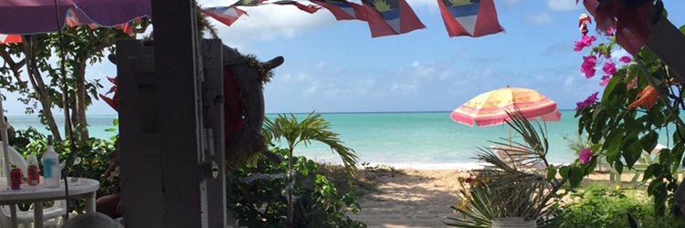 sh0rtarse's profile banner image