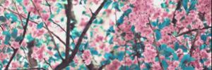 estefichol's profile banner image