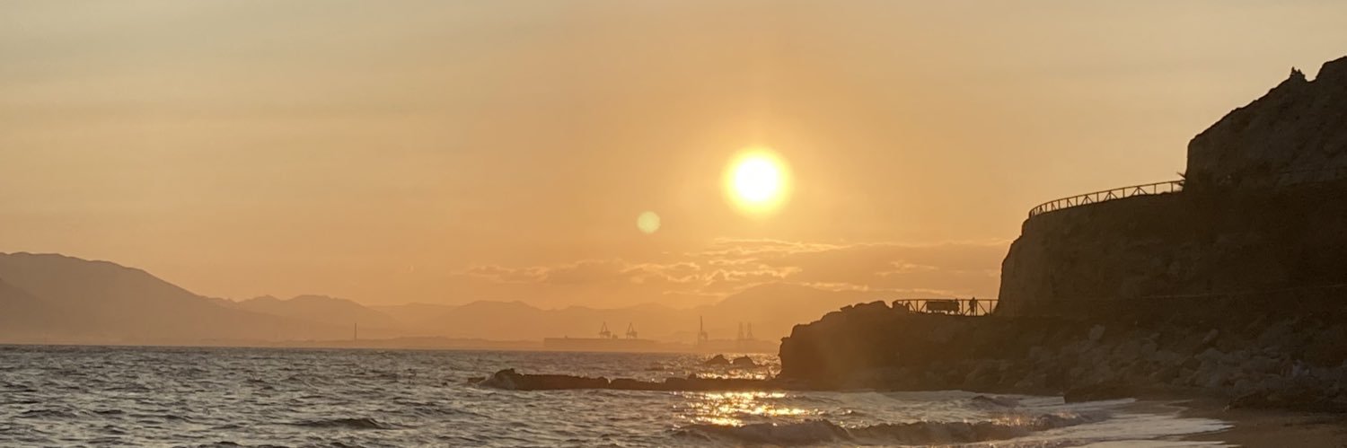 bea_munoz's profile banner image