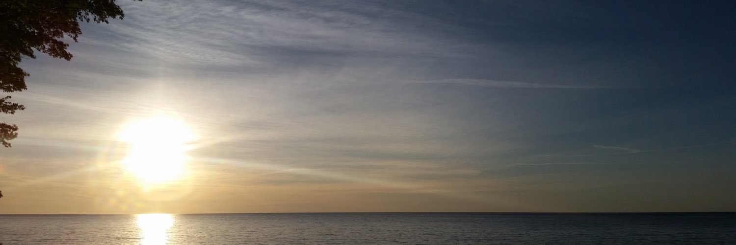 morgan_fidler's profile banner image