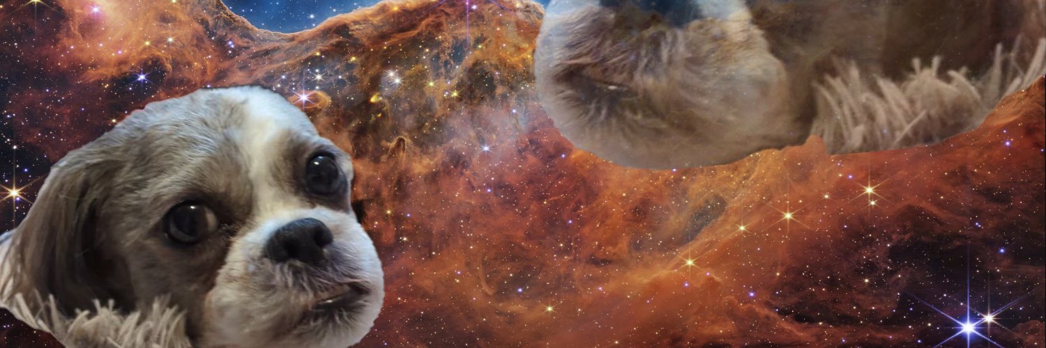 jaredwallis1's profile banner image