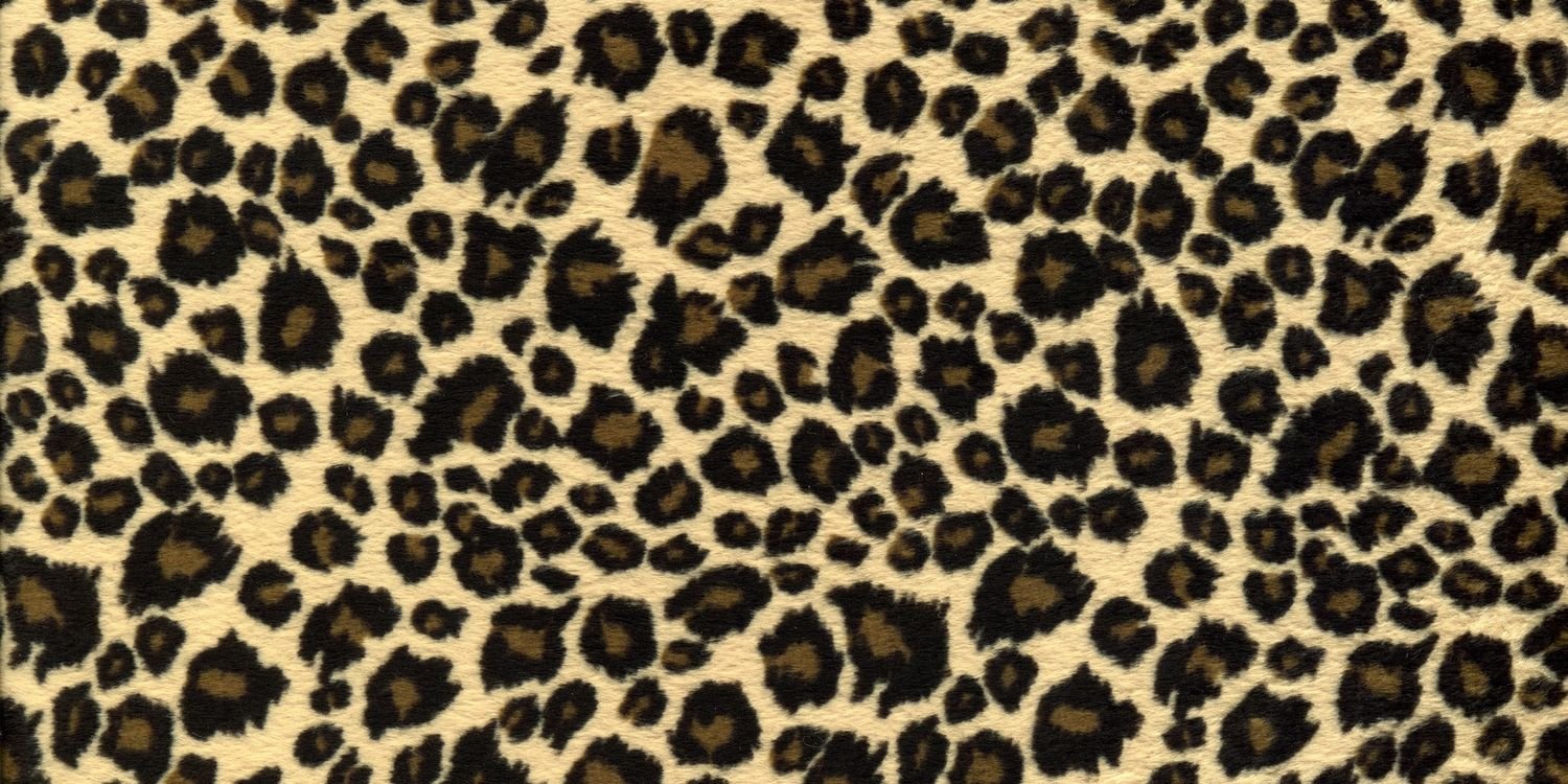 MaqiBernal's profile banner image