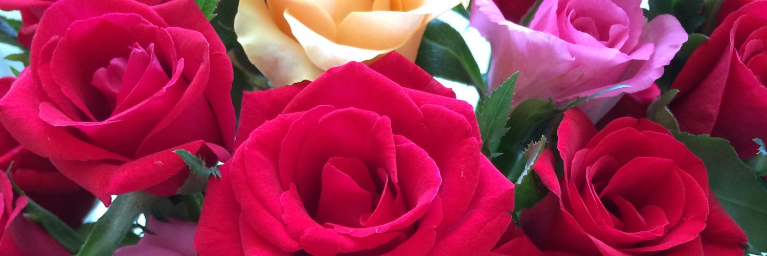 luvmeg68's profile banner image